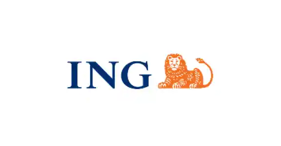 ING-featured-image-linee