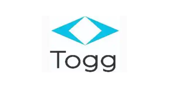 togg-featured-image-linee
